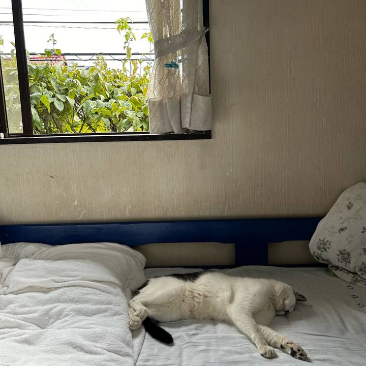 96c7d365 ed30 4c3c a4a7 be4b633bd5df 1723681377714