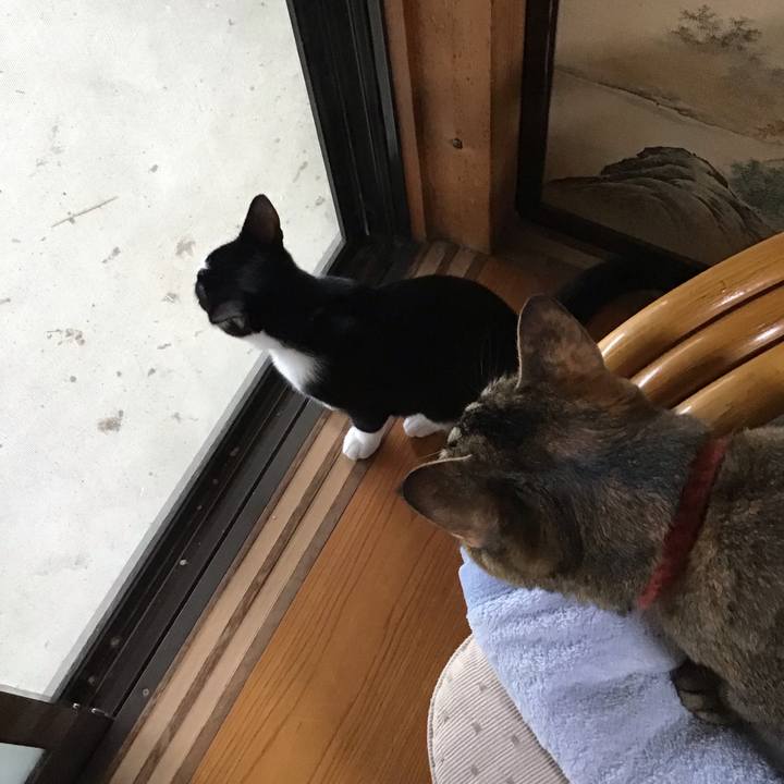 96c84968 6b6d 47c9 9149 45f0f6bef279 1630568521133