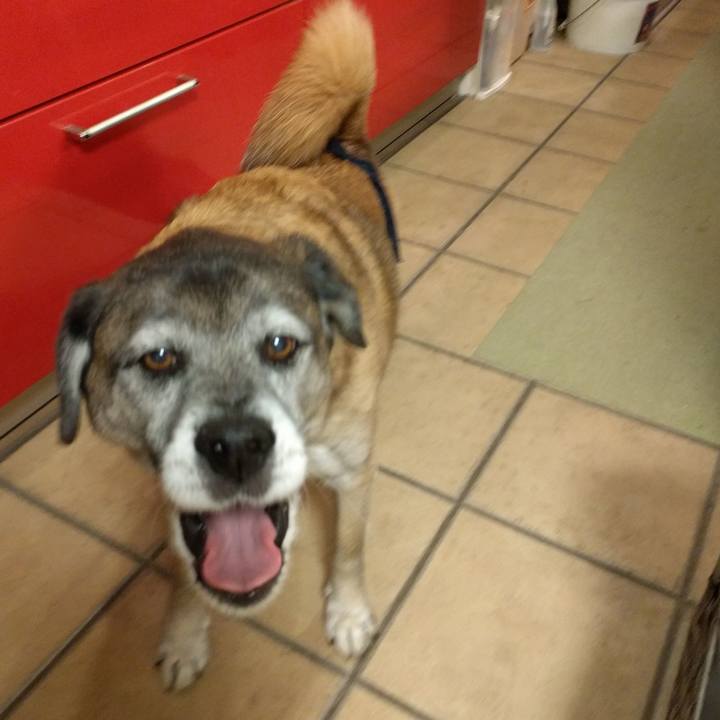 96c85949 0b87 4e7a be3d b76223c7c0e4 1518001634504