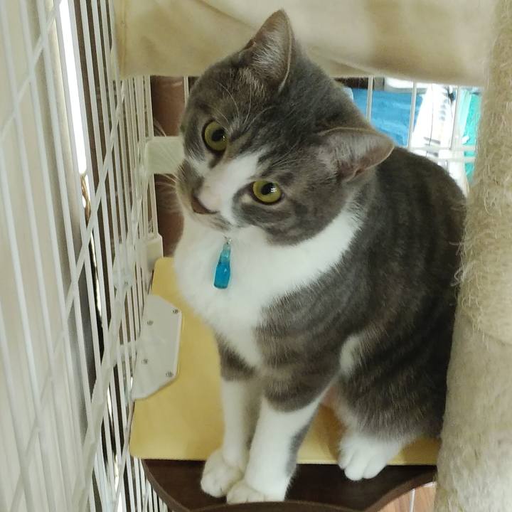 96c85a15 37c9 4f7a 9322 f59bfeae0a61 1585525426673