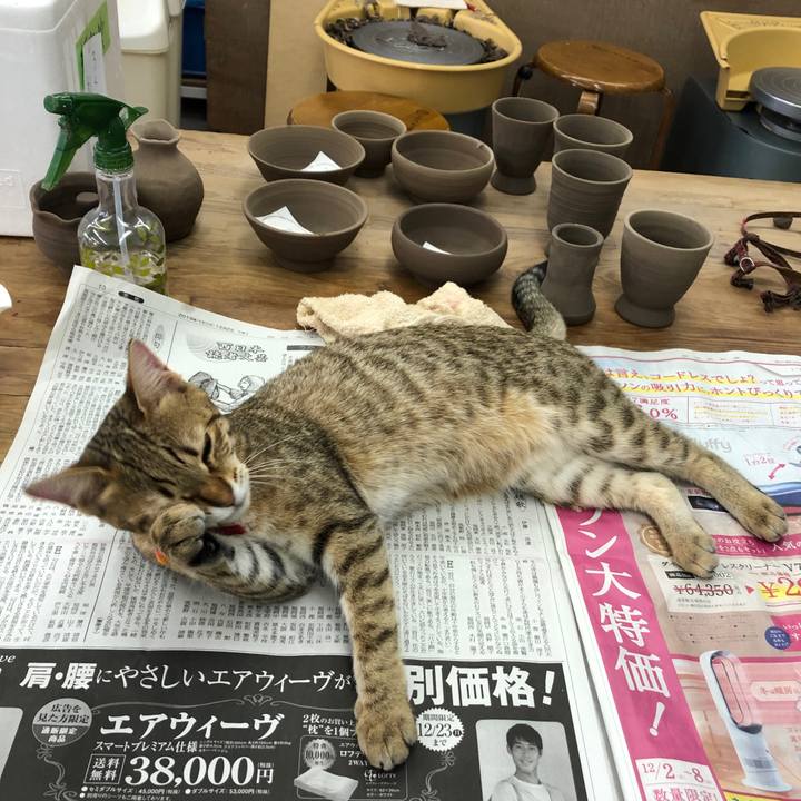 96c8656d c022 48bc 8953 925b92b0f351 1586167051505