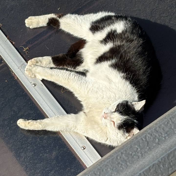 96c8a0ea 39ac 4c49 8735 2b8be023e7b9 1775213122404