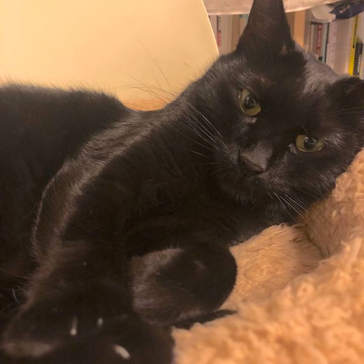 96c8ab46 9023 40a6 8949 89c30d2c6f00 1550056754335