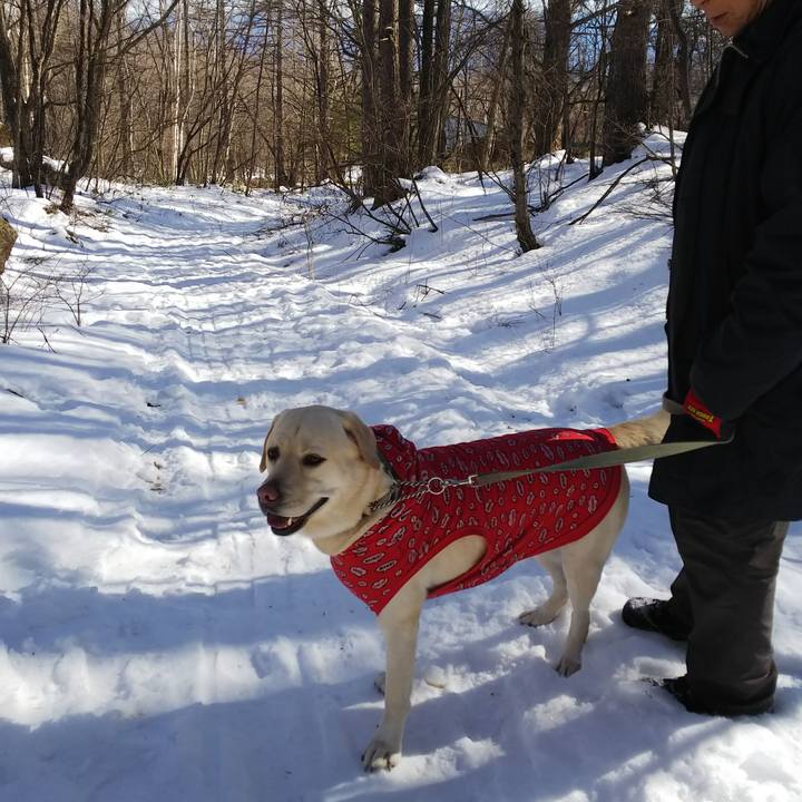 96c8bfd4 1b96 4c82 8b31 e6109c09d1e8 1578127412571