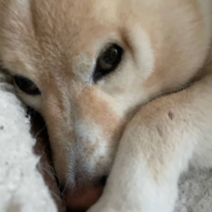 96c8e142 fdcb 42cd 9c50 01aad328a235 1744097334956