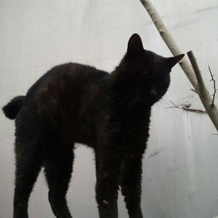 96c8e2ca 6218 42aa bbaf ca99372020ac 1521557834276