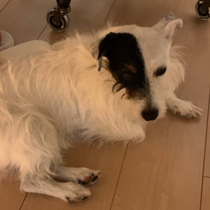 96c8e672 14e2 4a35 a68e ebe0ade273c6 1594636991026