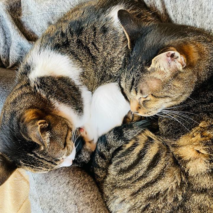 96c90a57 34ed 4173 adde ddde162d07e1 1613267217420