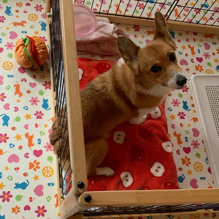 96c91a92 7652 4007 a667 f7b27f215a2e 1635479072992