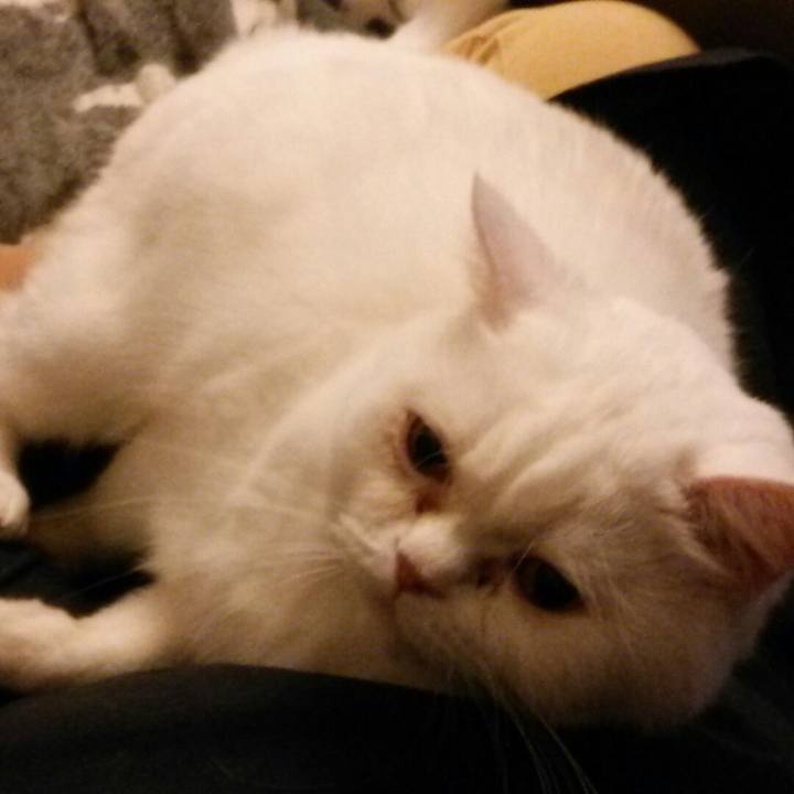 96c92554 cf6b 45d3 b0fb 3700c097e278 1525778031839