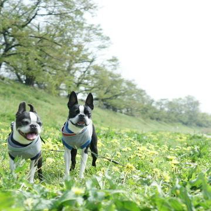 96c9401a 0cd2 4d17 be2b 5bfcc2c302d1 1555887493035