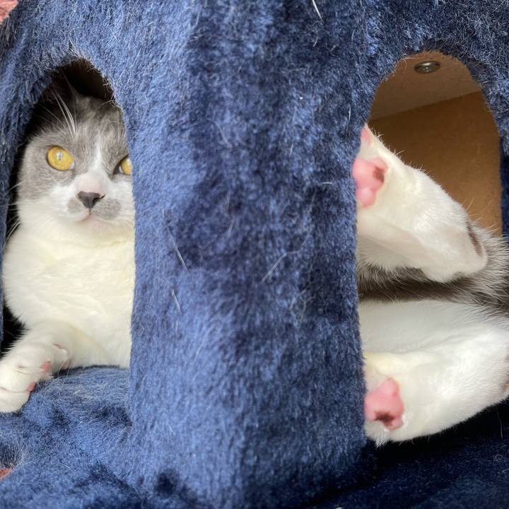 96c95cbd df09 4d9f 8b70 325caf4656c2 1663223530340