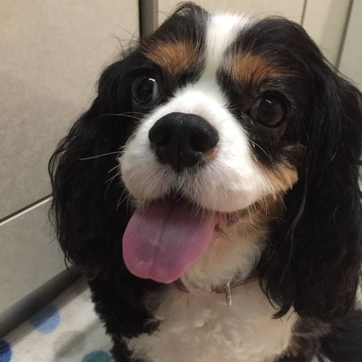 96c975df 1980 4e07 934f 4bf2717427a8 1535627668821