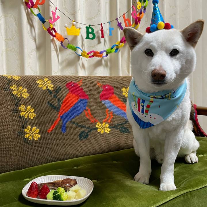 96ca39fd 7e60 436b 9d20 4c2b3588af47 1648466109729