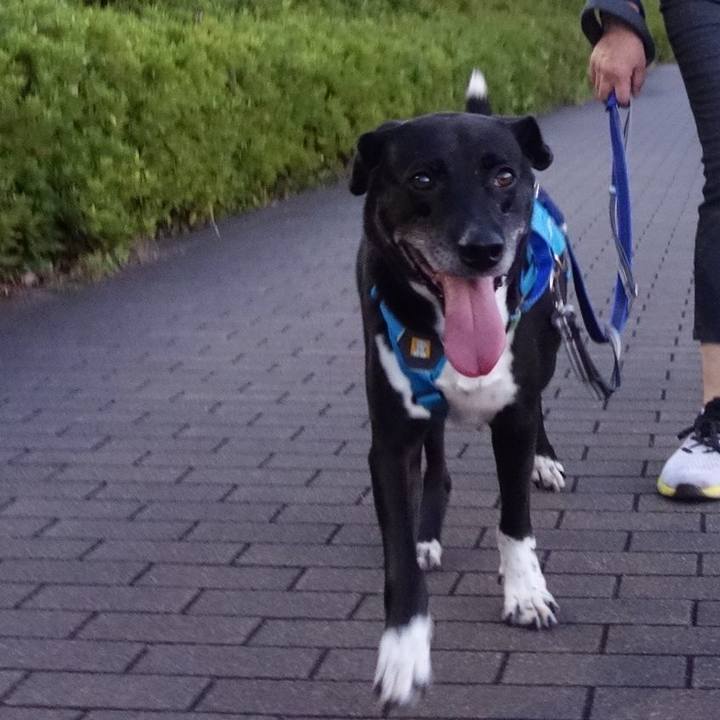 96ca3e2b 7899 4a73 b90f e996903d68a1 1690715703907