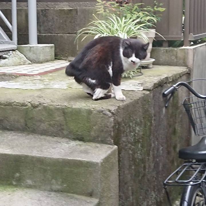 96ca7b1b 6a73 4bd1 8146 b70c2e053997 1685267476008