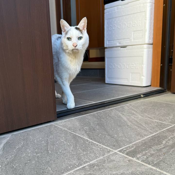 96cab3dc 1fa4 448e abec e396dfafc612 1765771130846