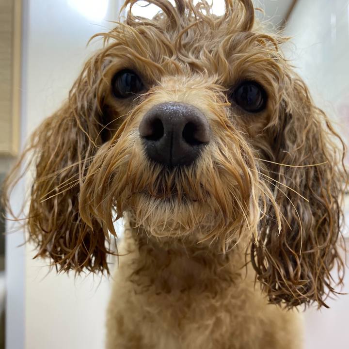 96cabefc d6ec 4c6b ac8b 90c63c1c04ed 1636471659525