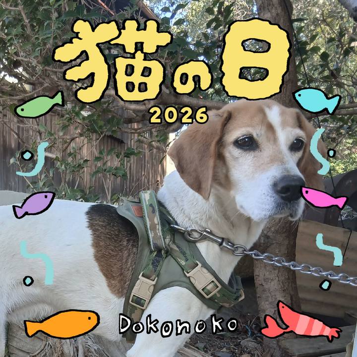 96cadda0 ce6a 406e bc59 88fb0fb5fade 1771737622263