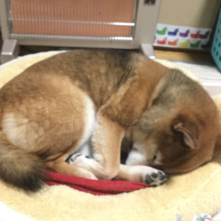 96cb1df7 cfc8 48d3 90b3 433c29afdcbf 1579866795955