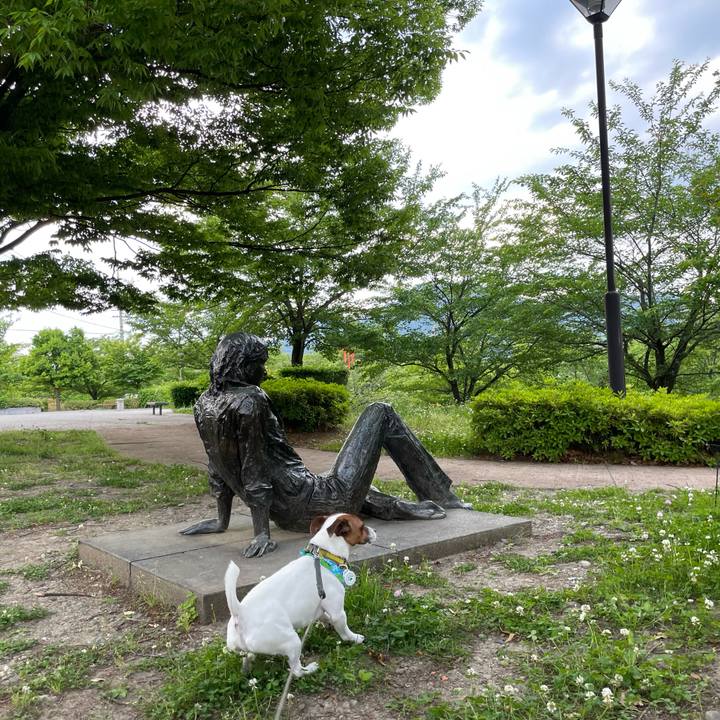 96cbf3c9 b0aa 45c7 83d2 9e35a14c664c 1654162592557