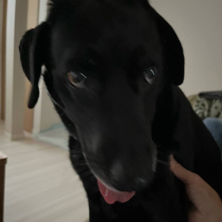 96cbfede 7034 45b5 bf21 3aa737bdedce 1730515397906