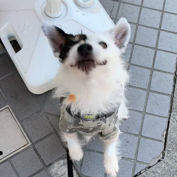 96cc2220 bf16 46e9 ad8c 4f5f5aa2dd41 1710465538059