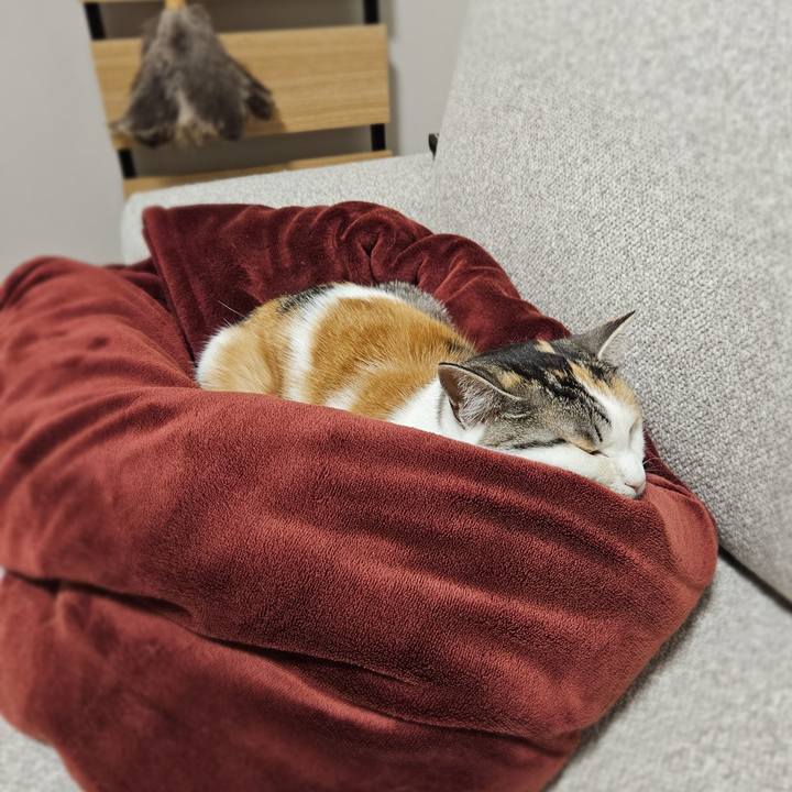 96cc3d98 389c 4f48 85d2 b9d0f4e2181a 1768801652194