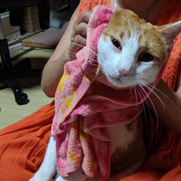 96cca463 2cc8 4772 907f fec0344e1455 1562417791287