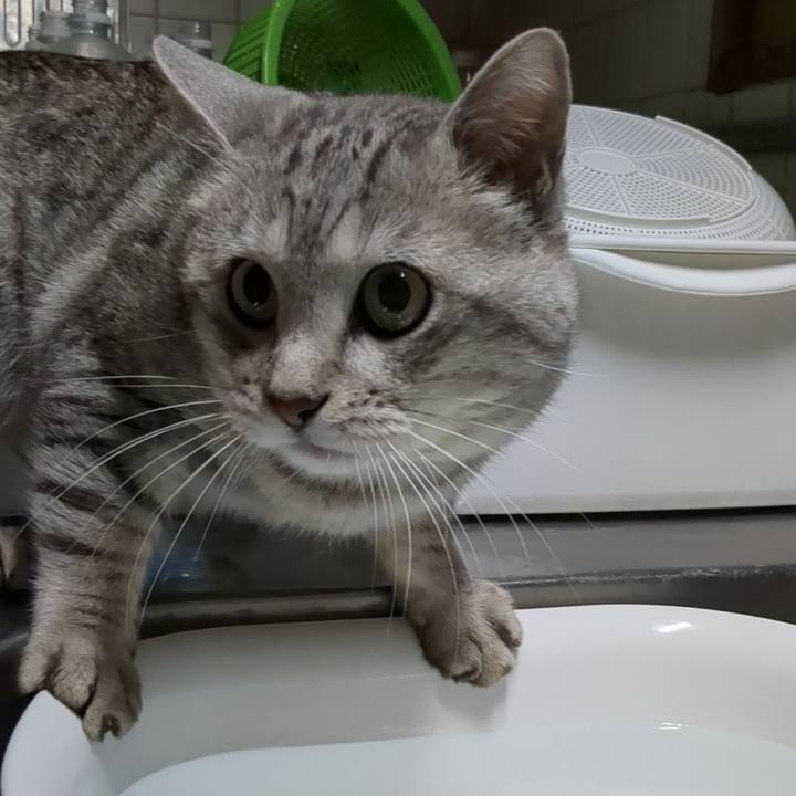 96ccbce8 5d02 42e7 bc9d 040244840079 1698414479269