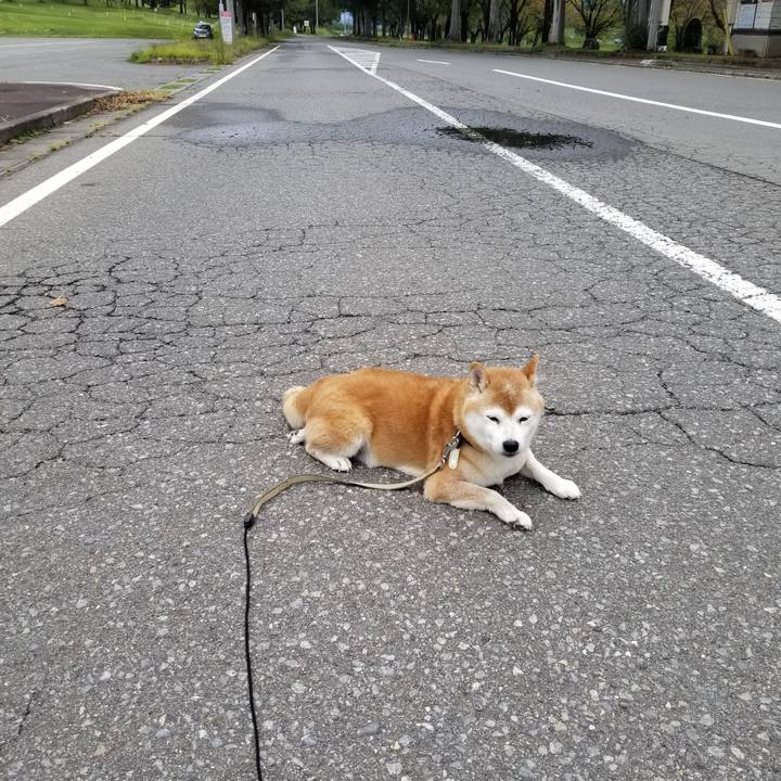 96cd6269 229f 4612 b419 8521176e311b 1663989192382