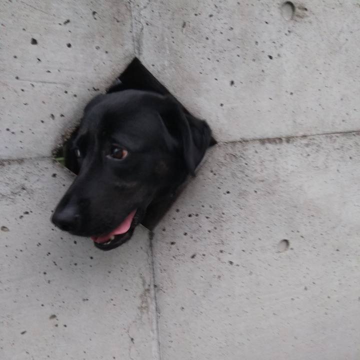 96cd7d9e c92c 4b83 8279 6130efcfed09 1569658018424