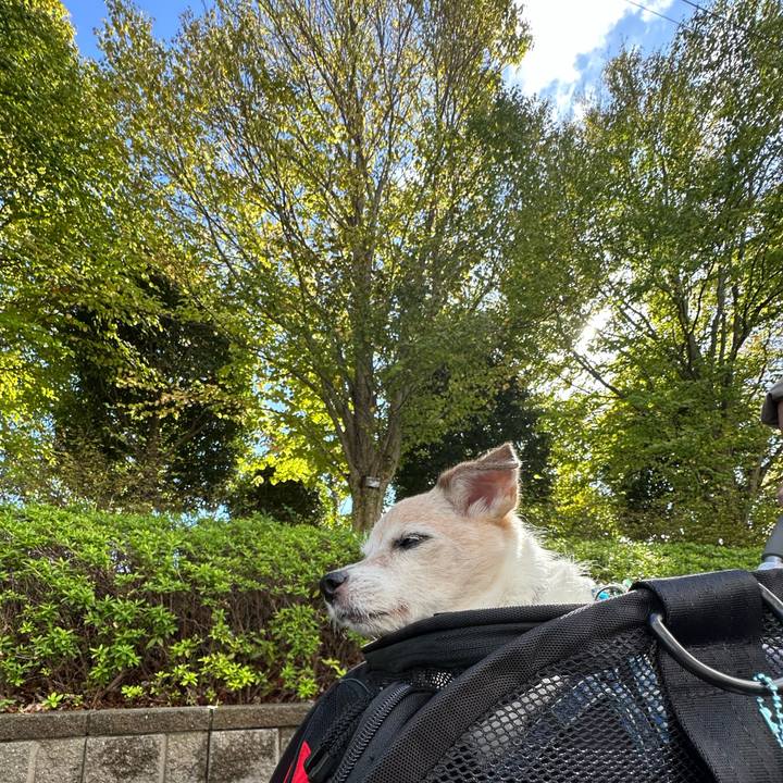 96cd849e 4c32 4e8b a31e 8a773ffb7a3a 1760662855309