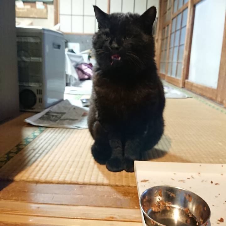 96cd8916 9fde 447b 95eb d46f45e566da 1618737033533