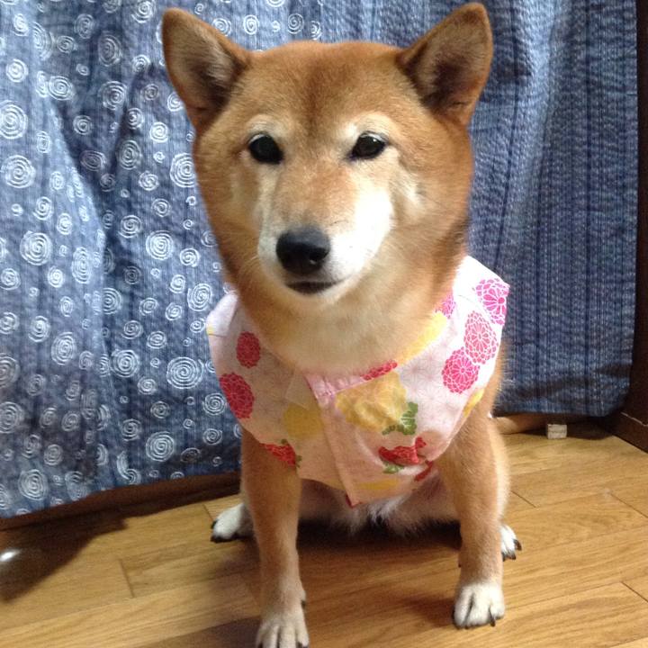 96cd898d 674a 4a8d b430 7d5ca242d938 1532078479966