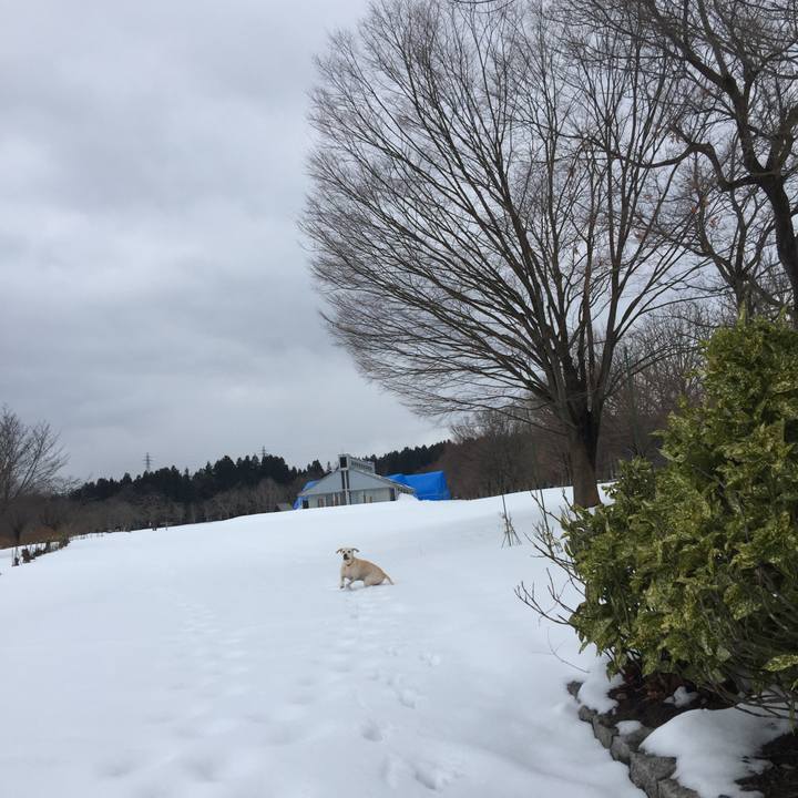 96cdd939 8cbf 47c9 aa9b f63562249dbb 1515292700409