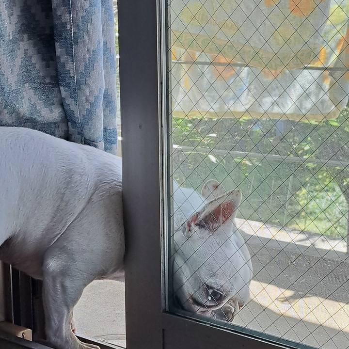 96ce0d43 d88a 44a1 a572 5b0dc4bf4c87 1714270672887