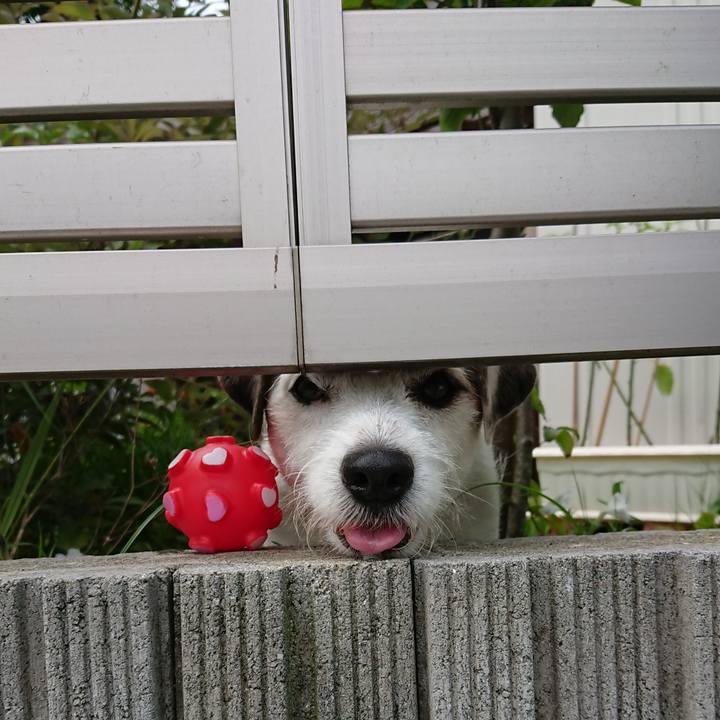 96ce3b85 459d 4aaf 8b03 fb581e7951f3 1534112473595