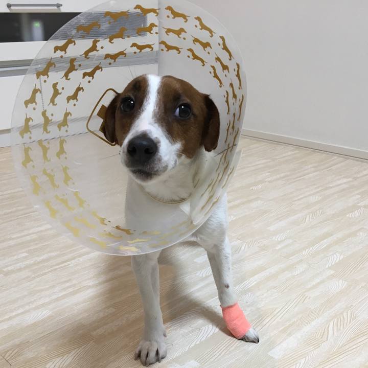 96ce9029 fd3d 4e1c 8d26 dbbf45d5acbf 1517922957508