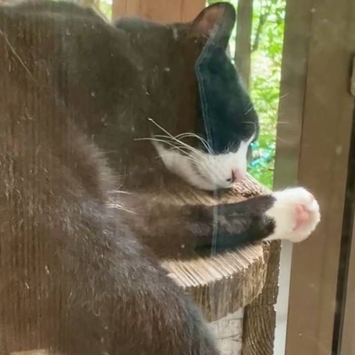 96ce9ed2 8489 4cd7 adff d21f3d21e3f2 1730785814904