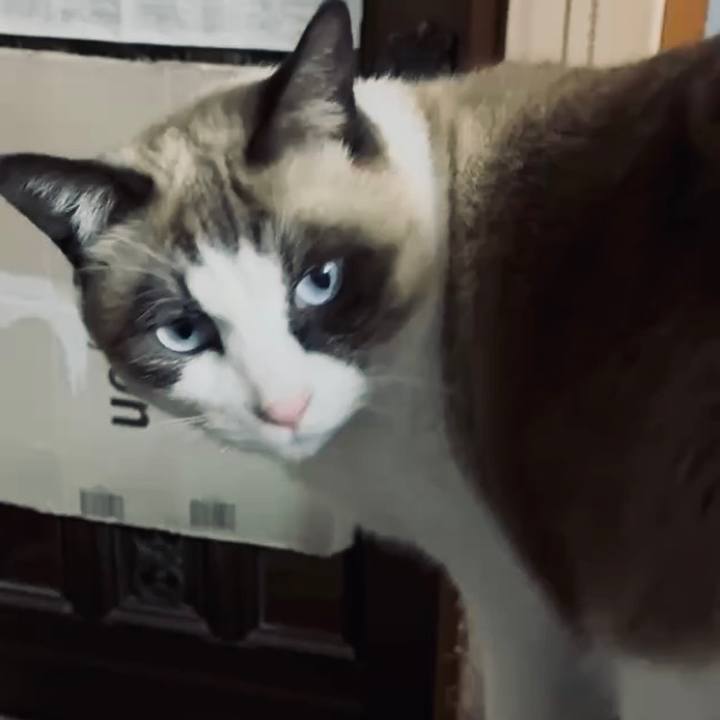 96cea2f6 8dd7 4439 a9bd 16bbe66b0567 1766084038227