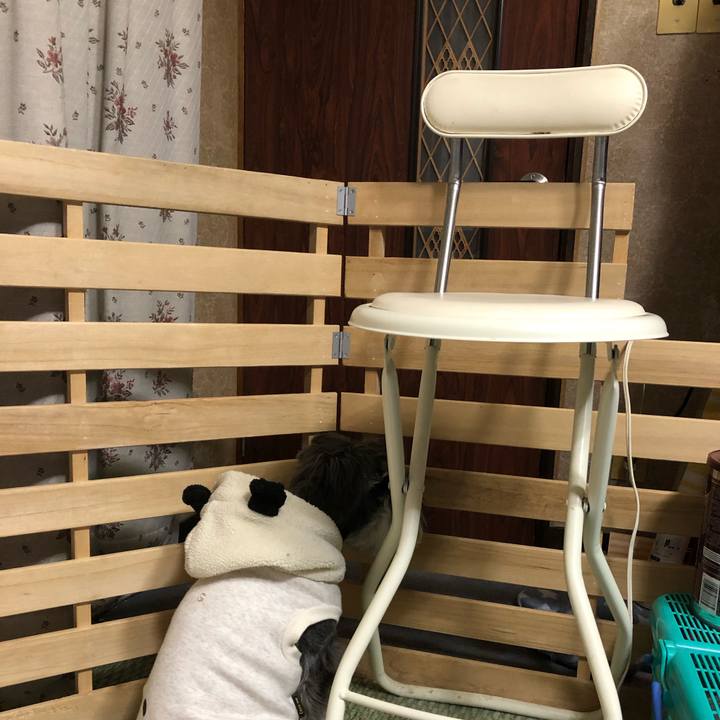 96cecebc 2398 46f3 82cd 05c5e7733ebd 1616597781779