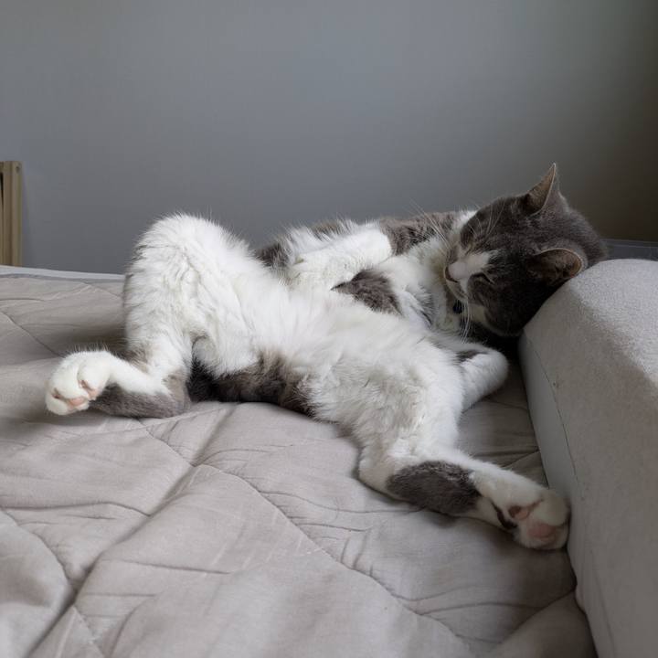 96cf310b 728a 44df 9232 59f685f829bf 1752889080609