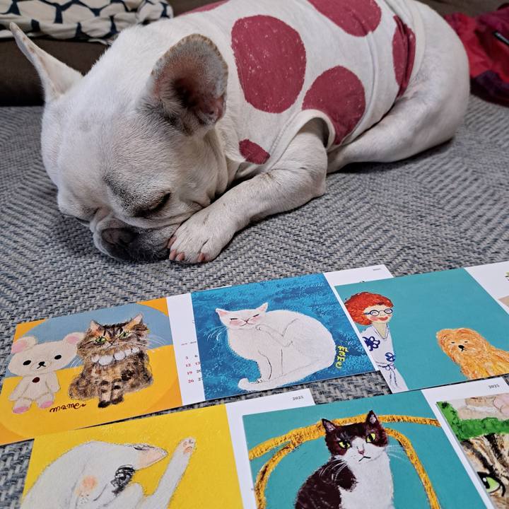 96cf75b4 f307 4c88 b0f3 b827a7155bc9 1729925568346