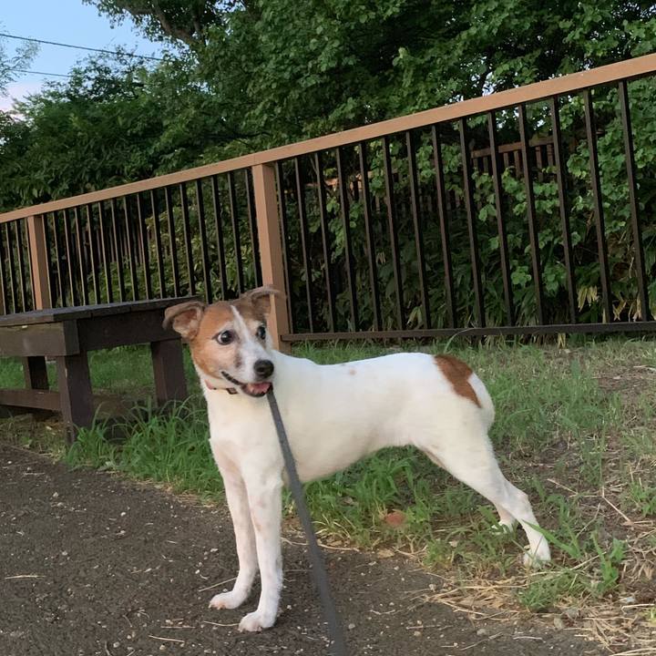 96cf792f db36 42e9 9c57 8871597e8db5 1565520688307