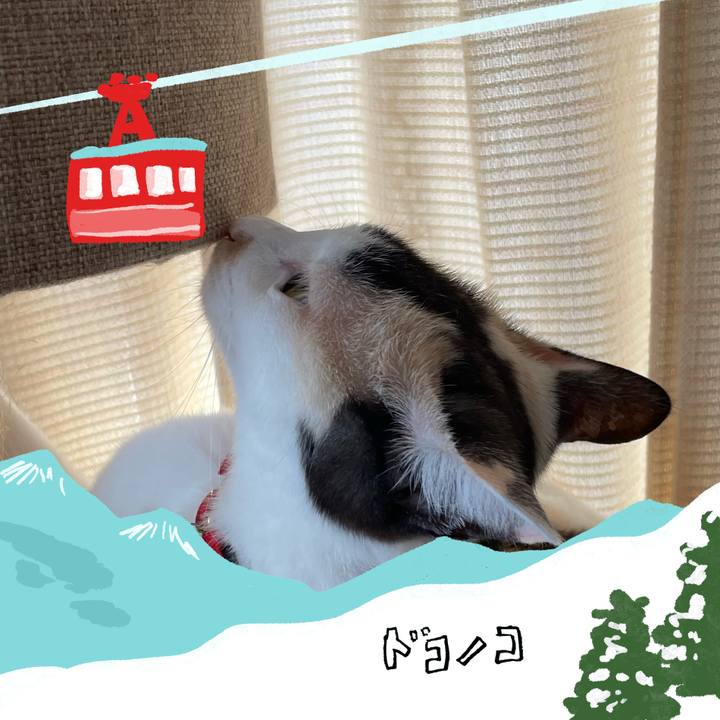 96cf8cc4 1658 46af 9f53 0293f8e39b33 1706855825267