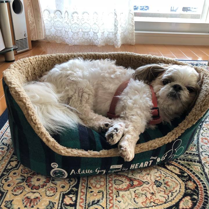 96cfa343 6fb7 40e8 b791 e13ba7b48025 1541898902022