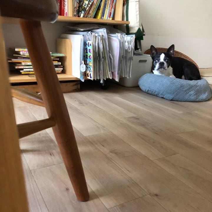 96cfd1cc 3e11 47ae a74a 5cdd203e7634 1721126824126