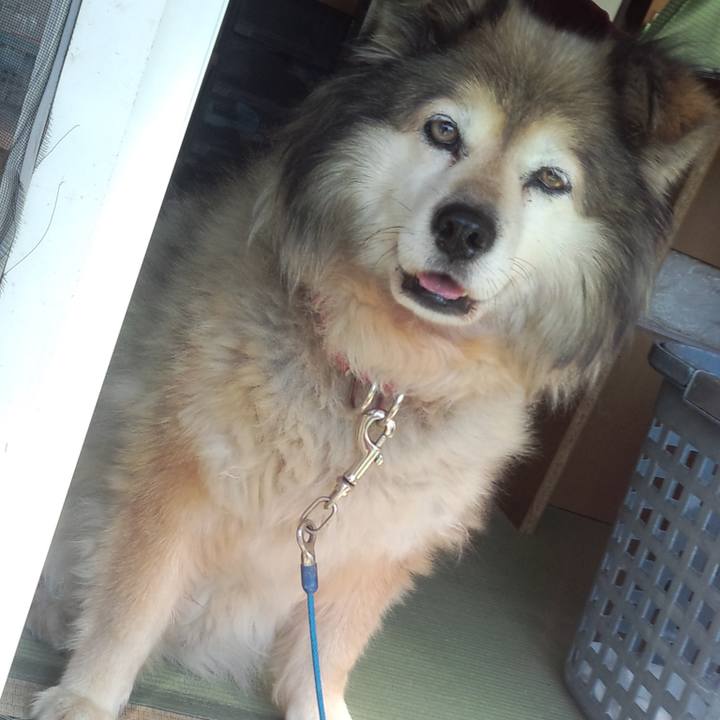 96cfee37 bb23 41a7 b722 ce912e8e3889 1610288682468