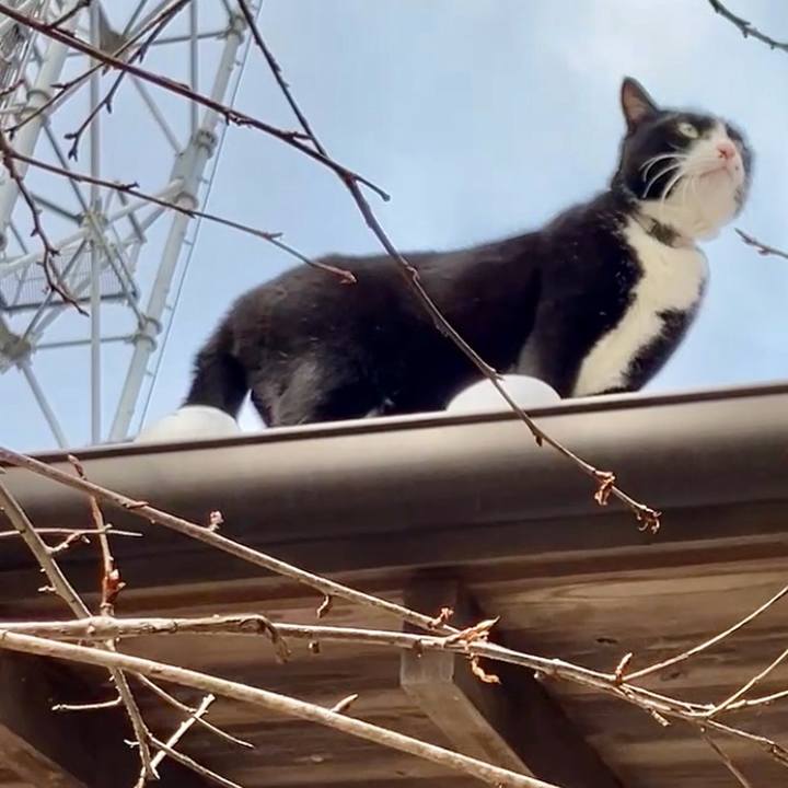 96d00502 9ee8 4c11 9dff f11b6c8d8d92 1738203195676